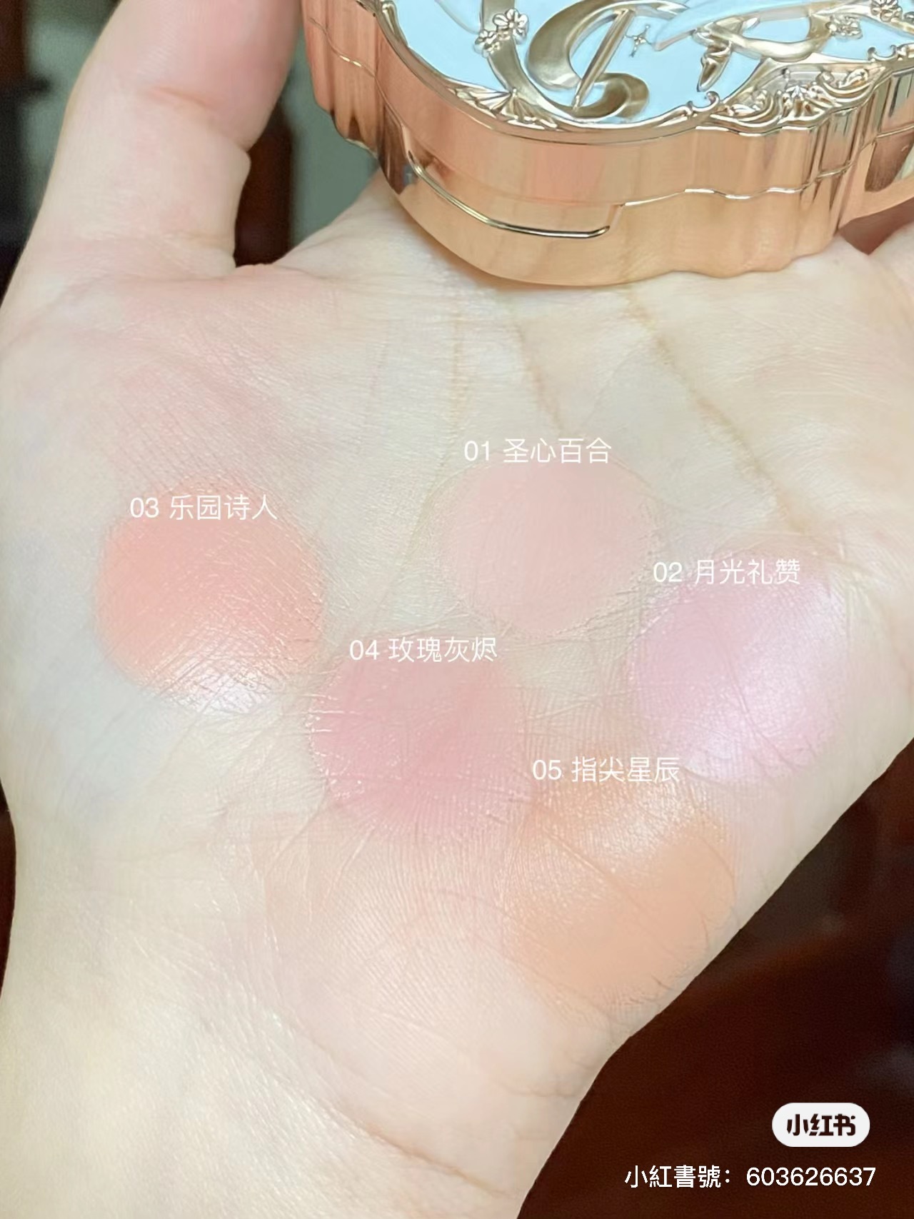 IMG_6147-1704123616067