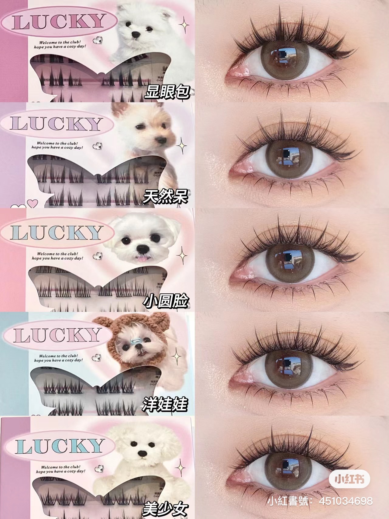 IMG_8914-1706181937339