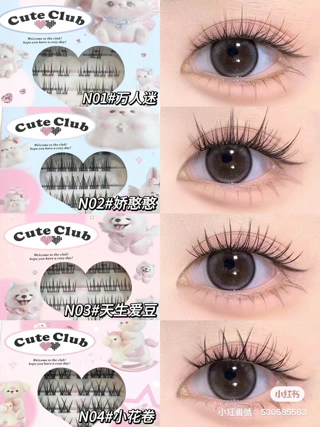 IMG_8887-1706181937344