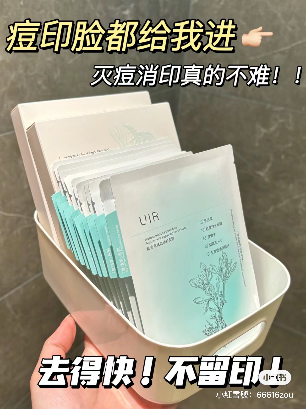 IMG_4608-1709531768895