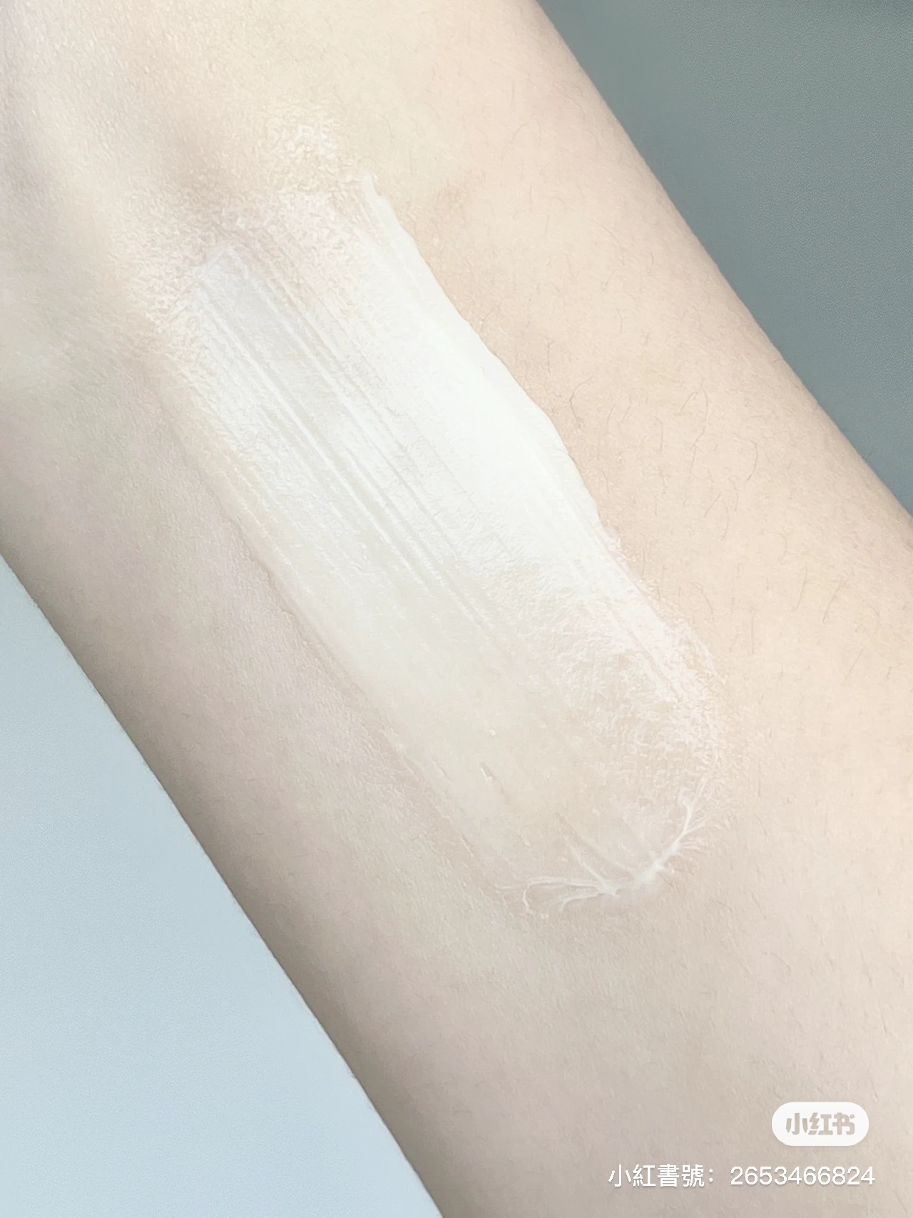 IMG_5127-1710258299258