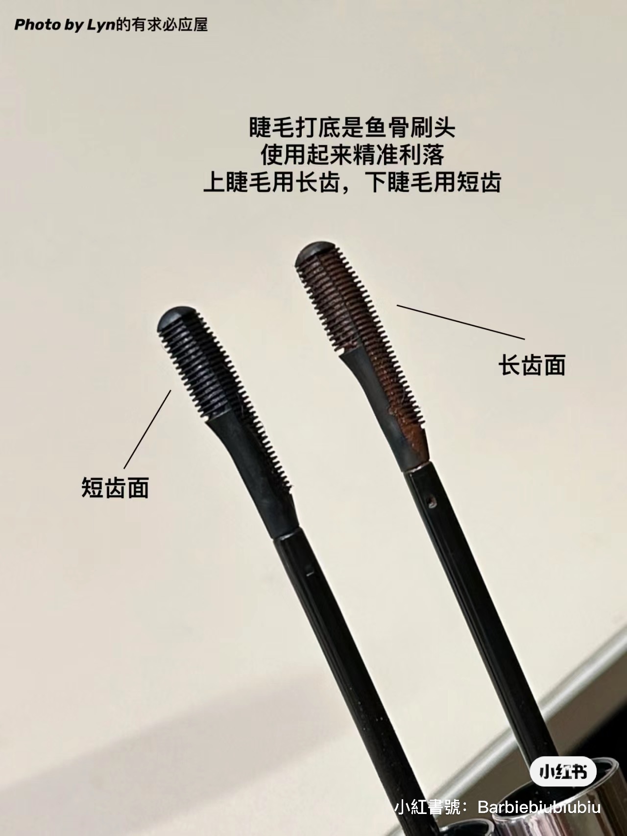 IMG_7036-1712477606092