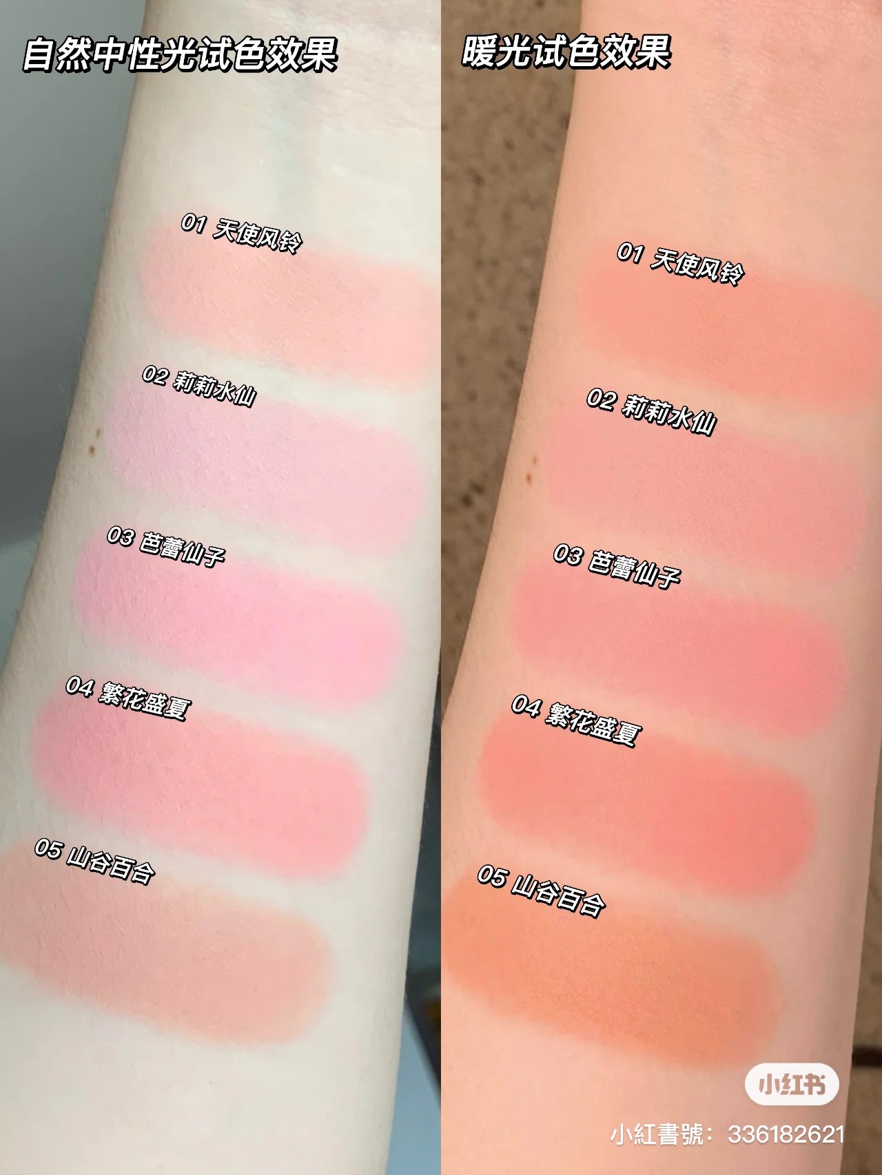 IMG_0234-1718016301087