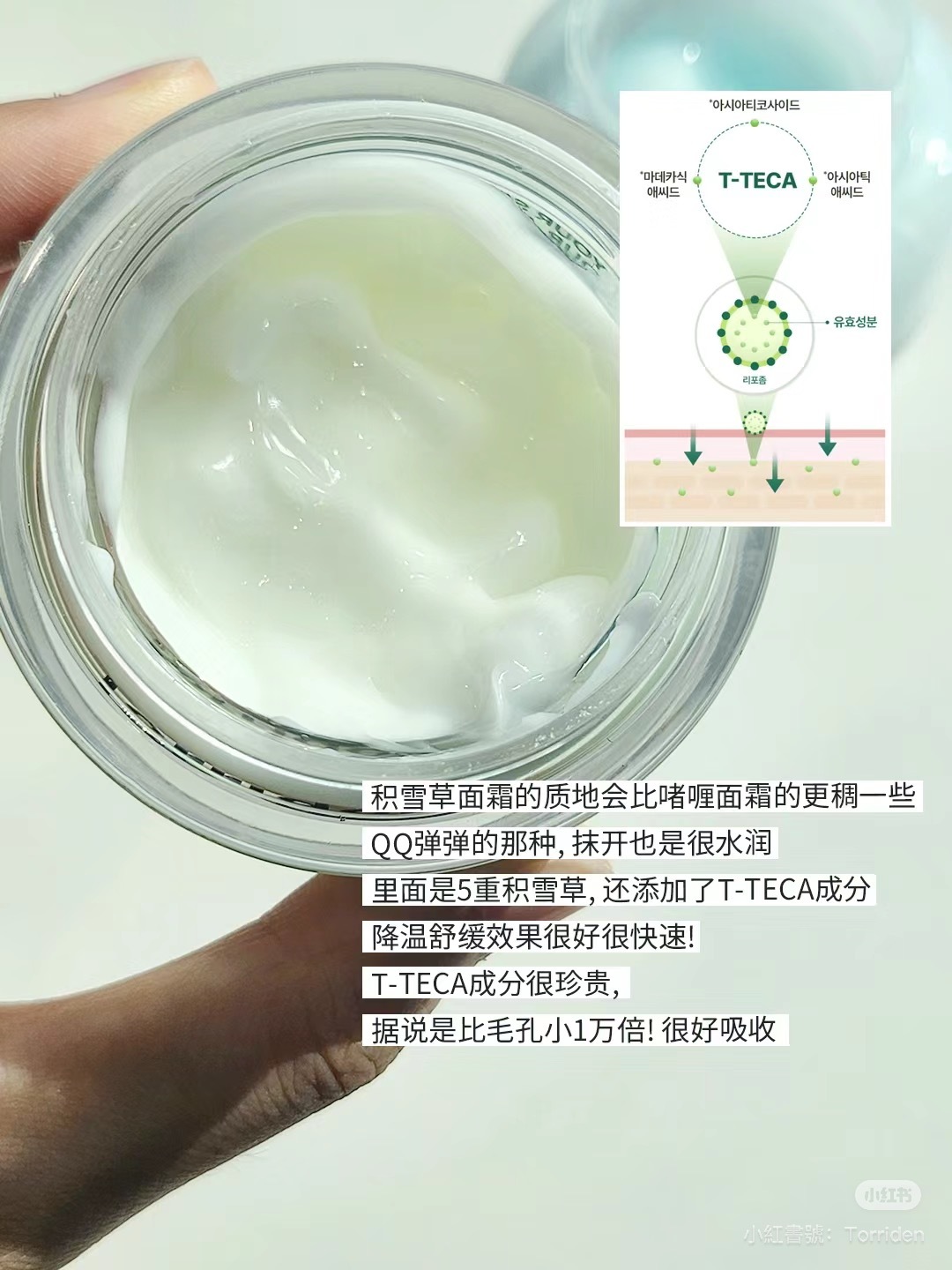 IMG_4111-1725292317508