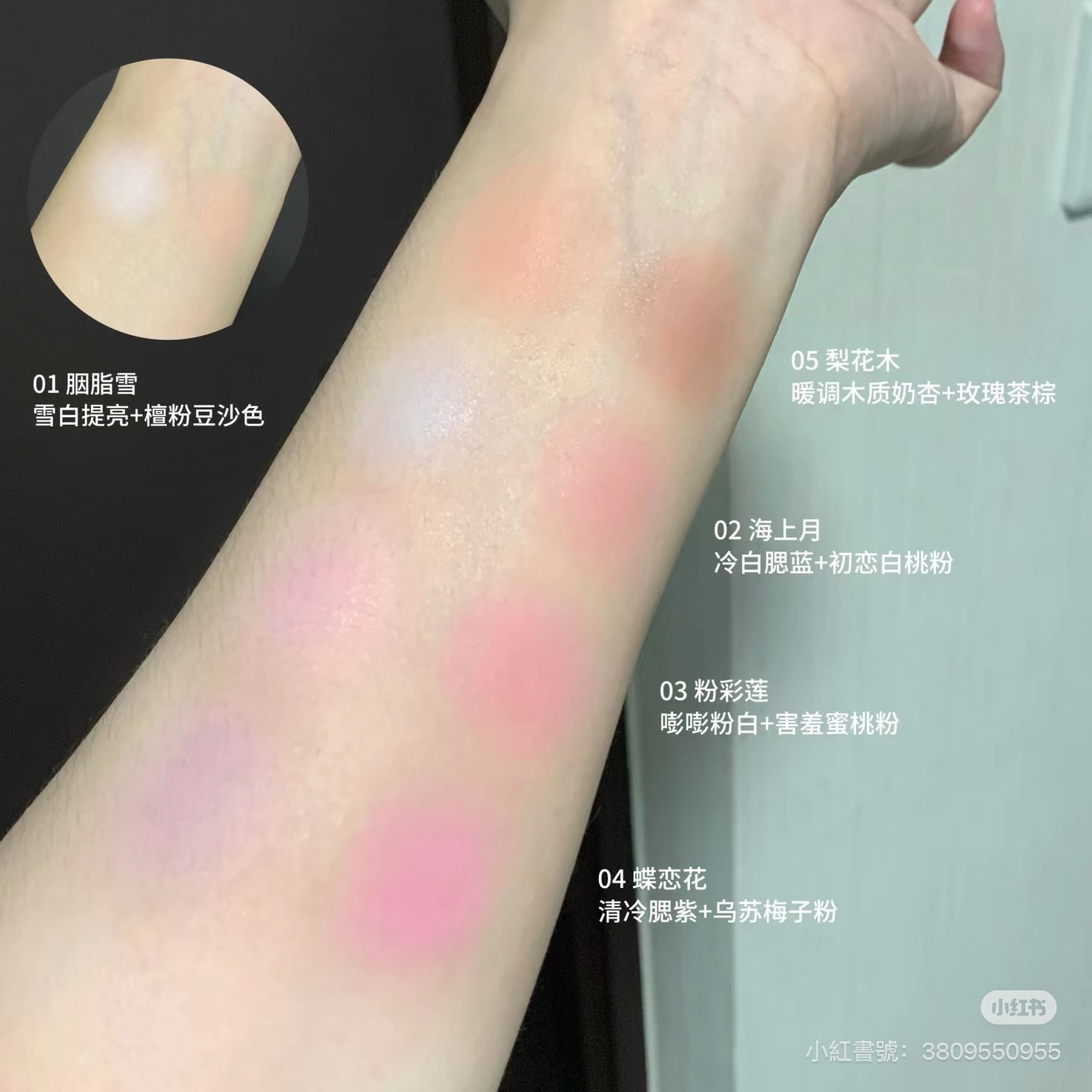 IMG_4981-1727089173803