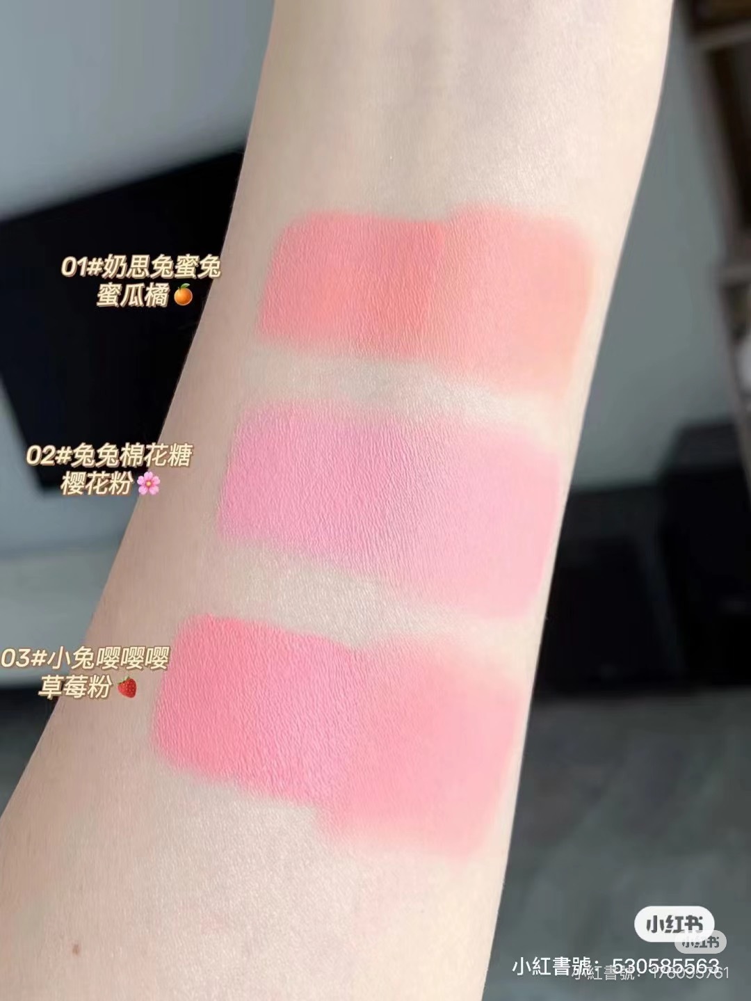 IMG_5448-1727600398757