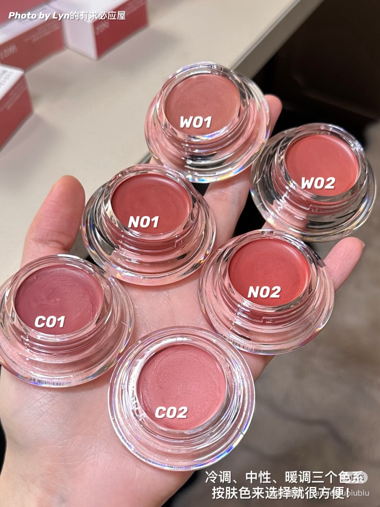 IMG_7900-1731486307053