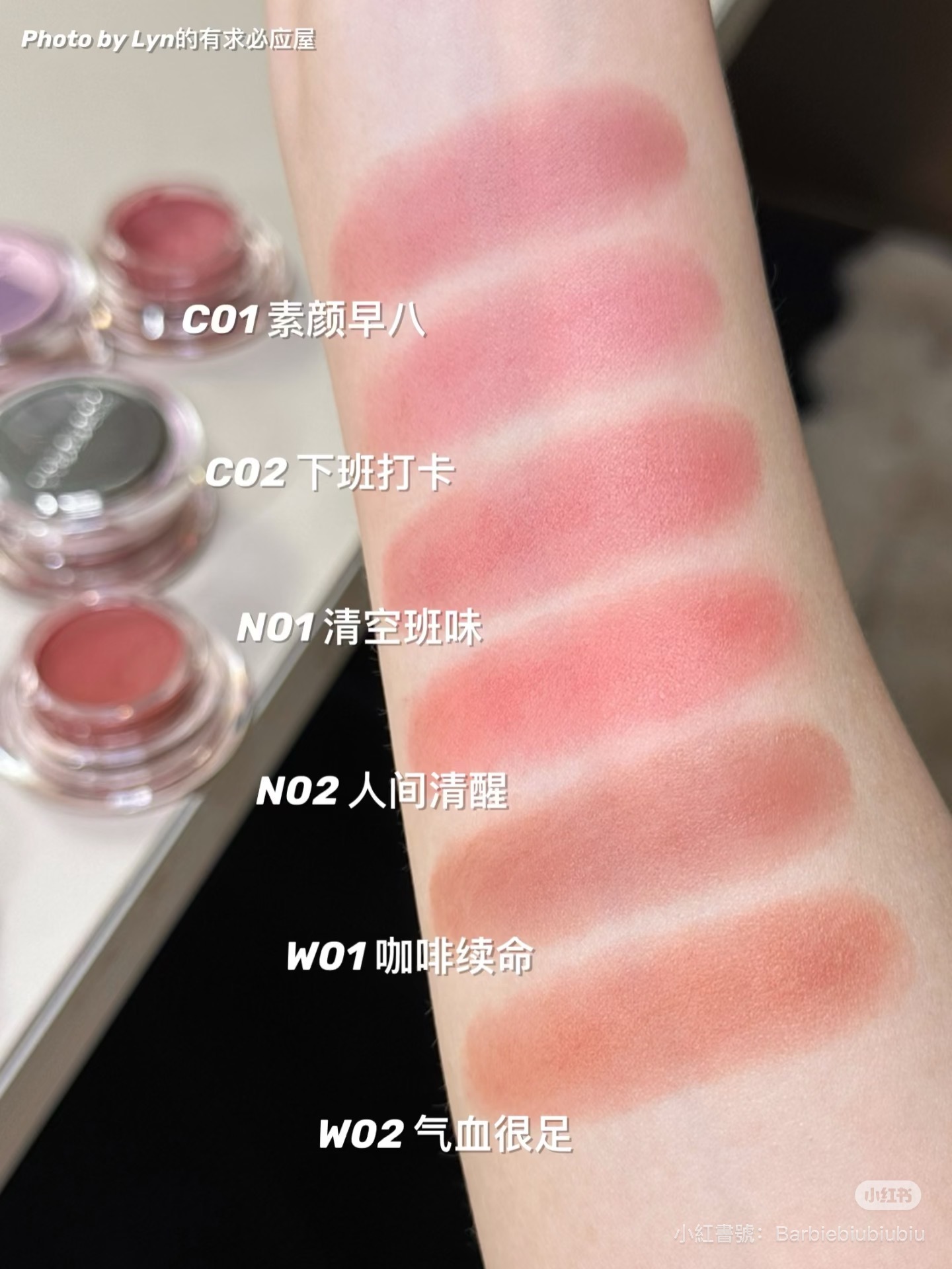 IMG_7901-1731486307051