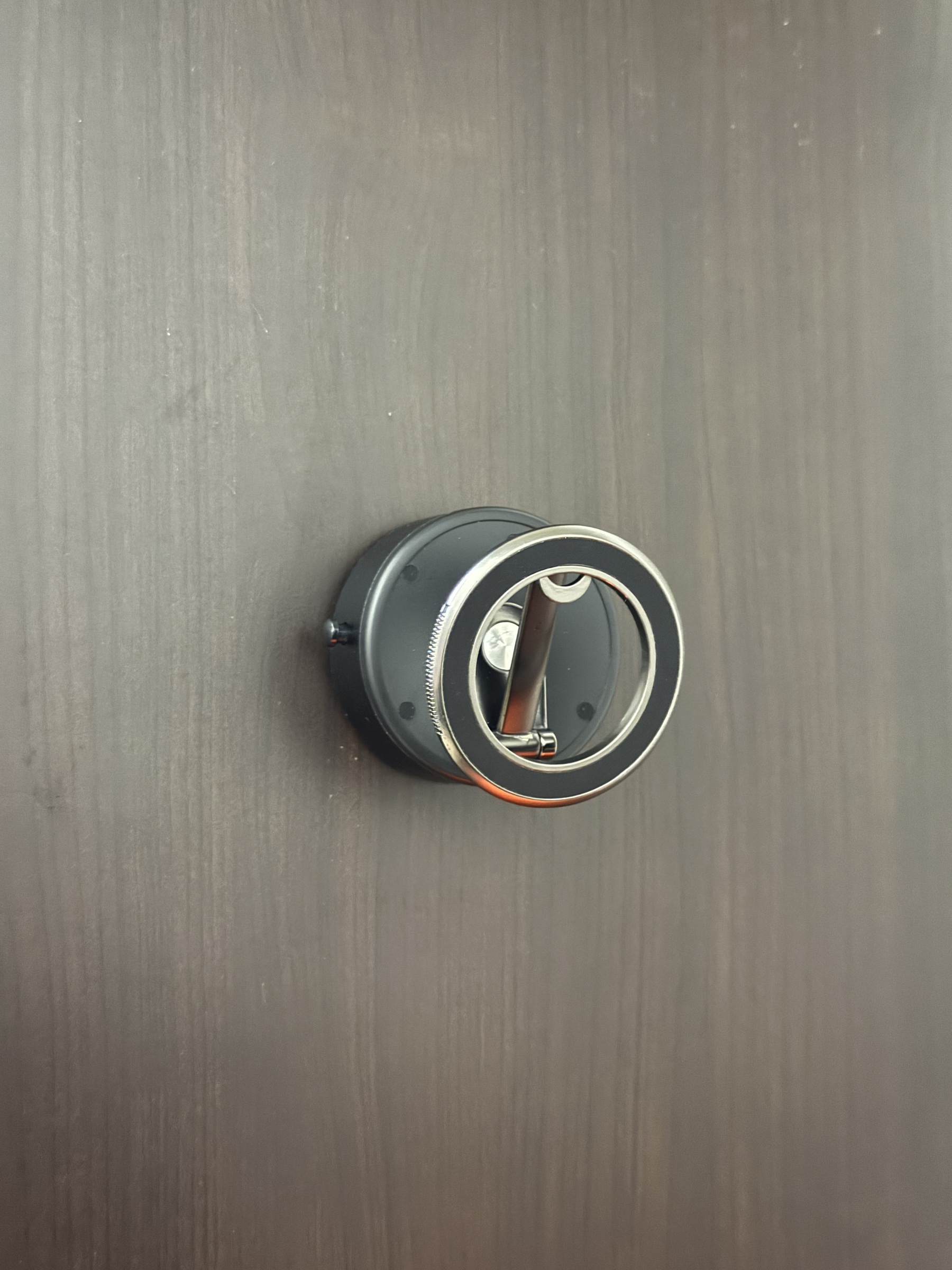 IMG_9540-1734951213506