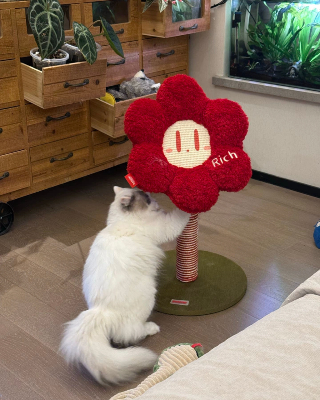 8