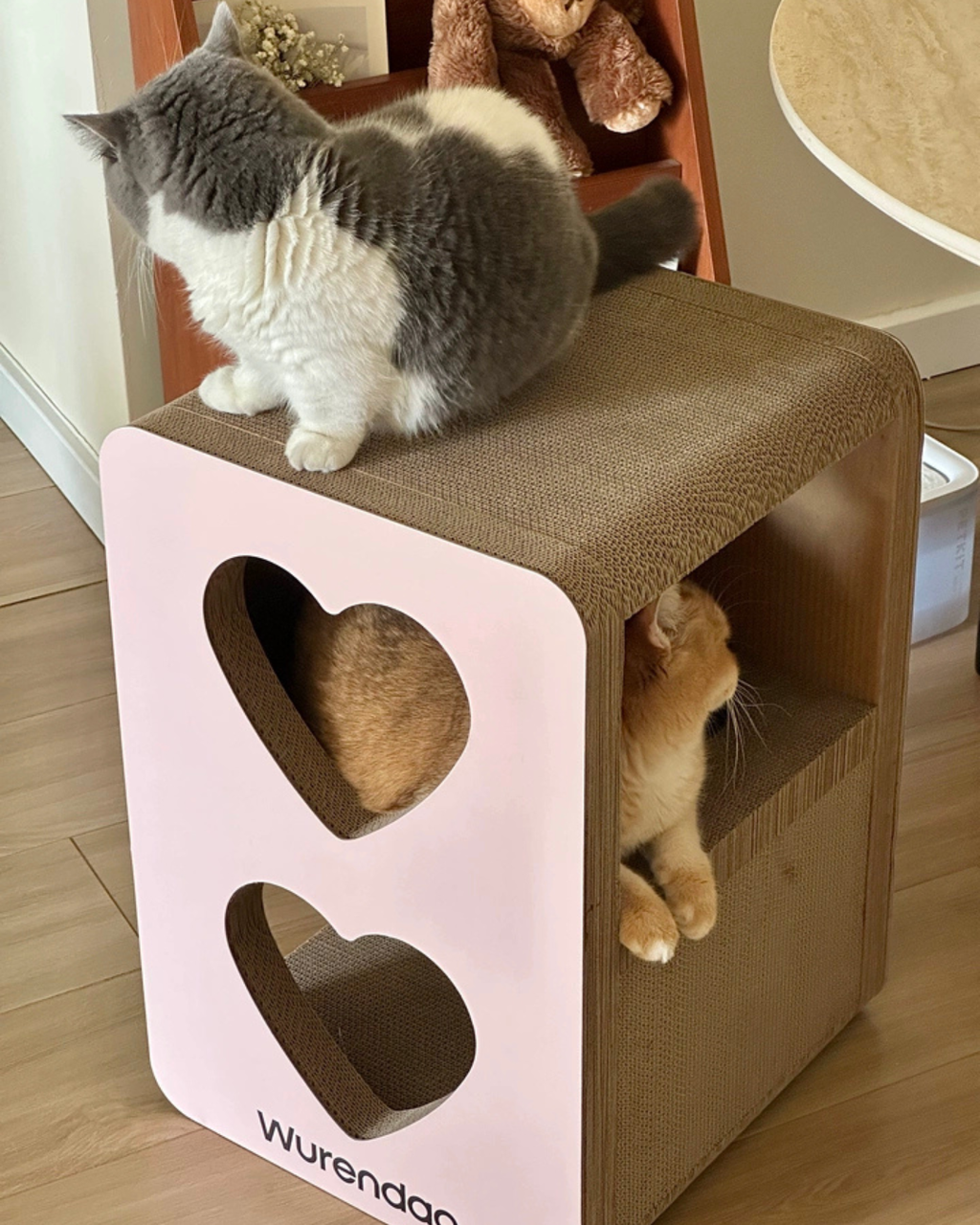 3