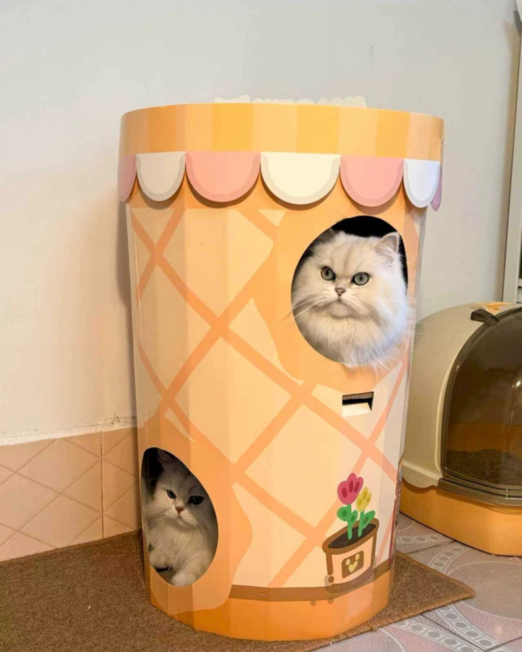 8