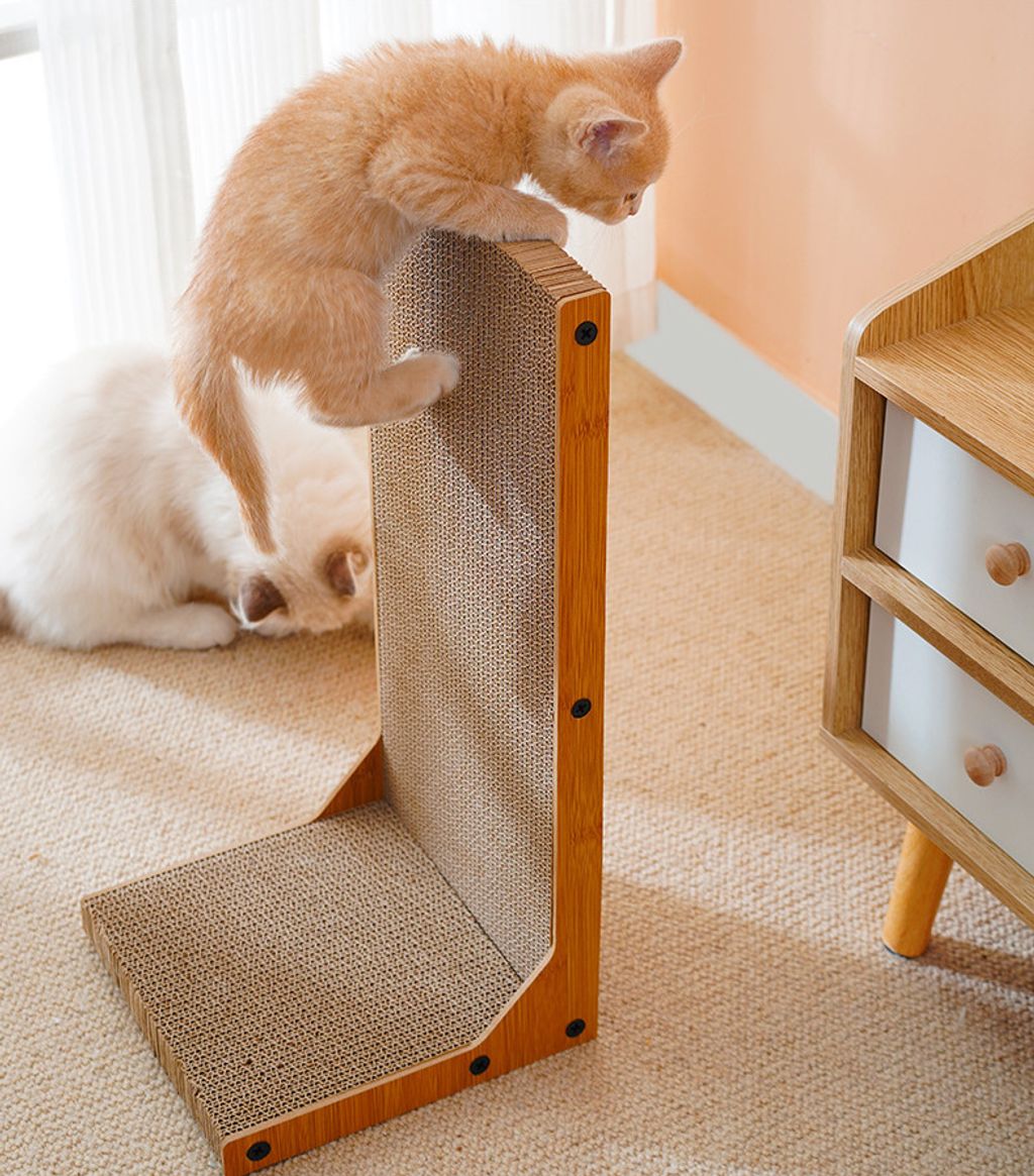 O1CN015r8v6X1L134gEKVnQ_!!2207292591238-0-cib