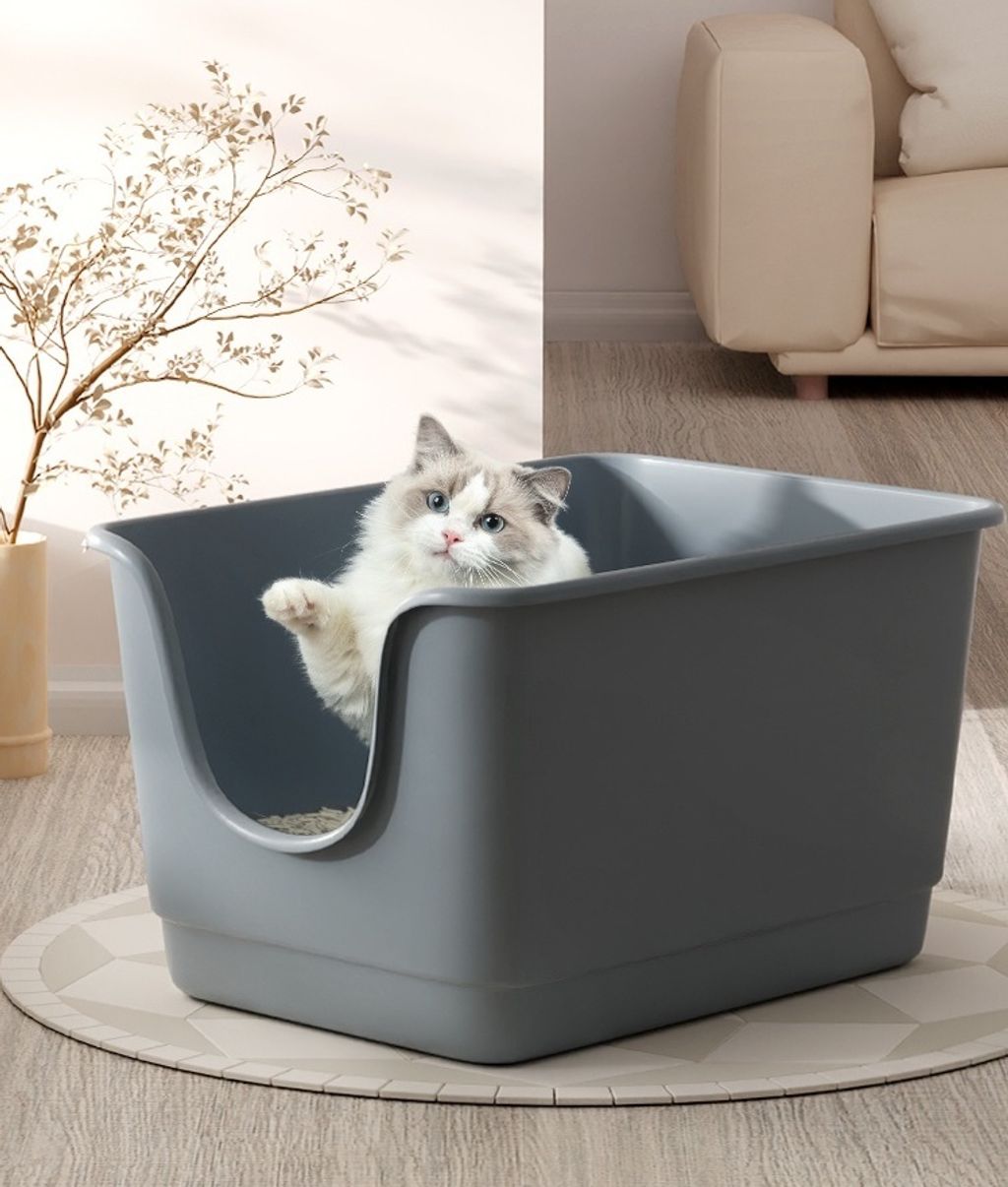 O1CN012cq7Qm1SfzrL4Dy8S_!!124102275