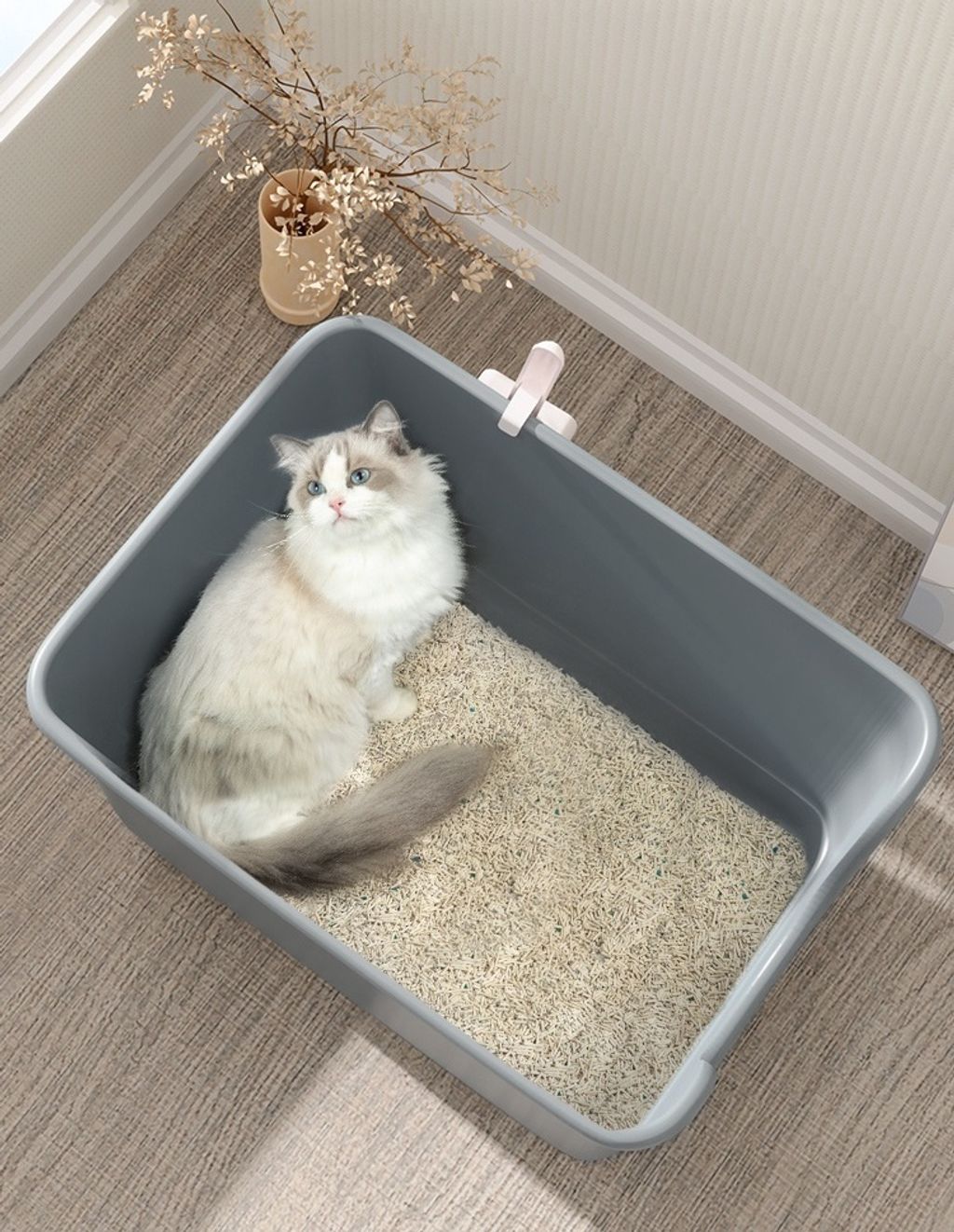 O1CN01FI9IKL1SfzrMDkGeT_!!124102275