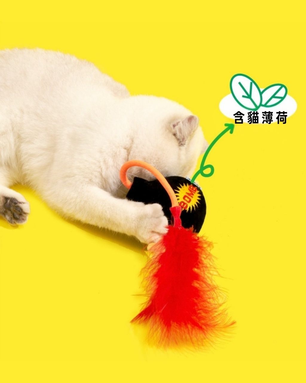 image_78AD913A-0B84-4248-BA77-242D32443C71_1757332740