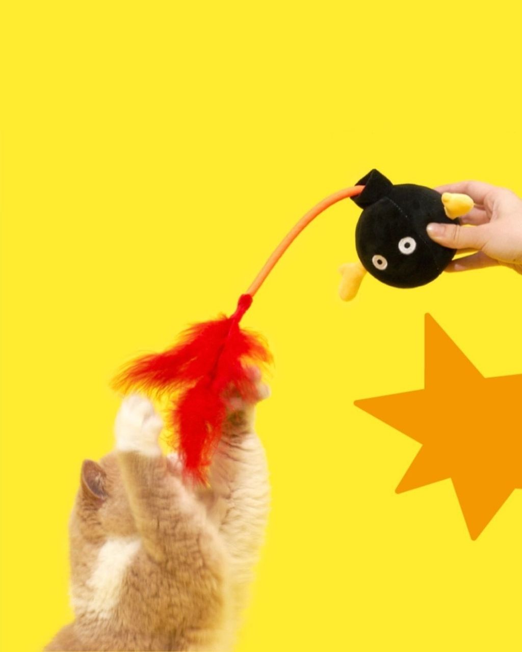 image_E083F447-5147-43CA-A4C1-BAA208E43C06_1757332740