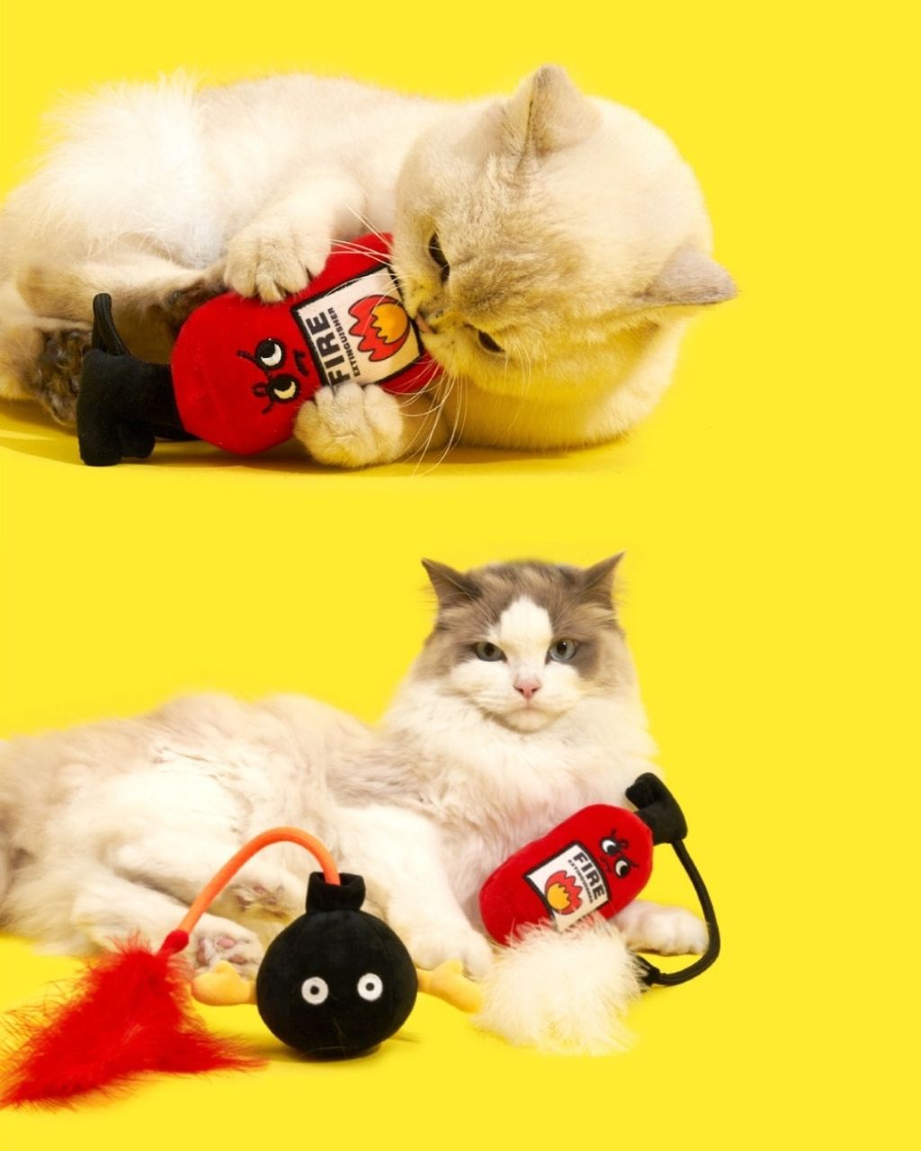 image_3332929C-1816-4A3D-A0F7-F12063F3FBC3_1757332740