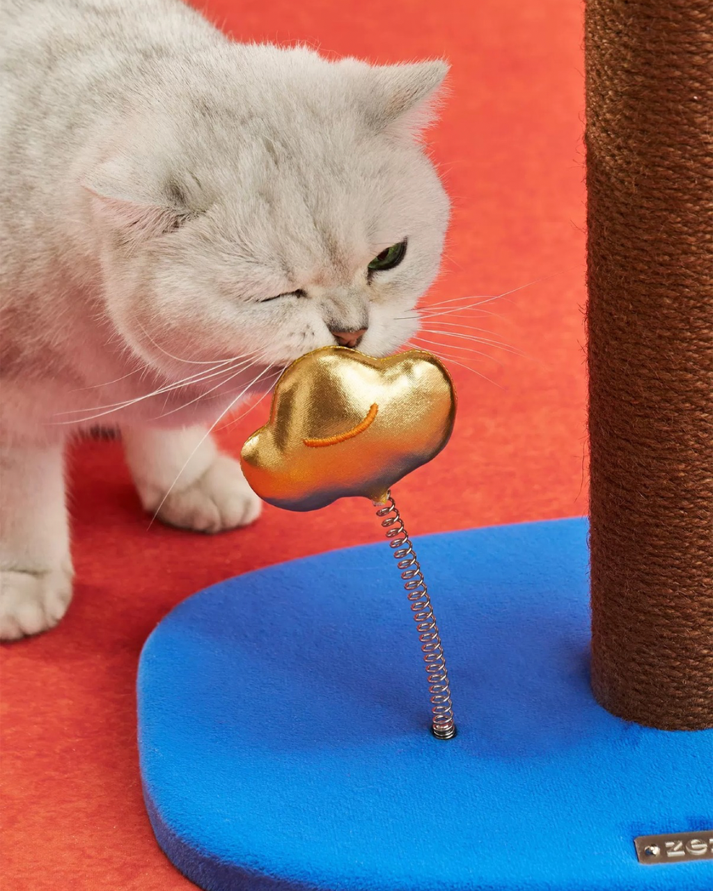 image_E679E7F9-29FE-41E2-A6F5-19EC65F71369_1767950824