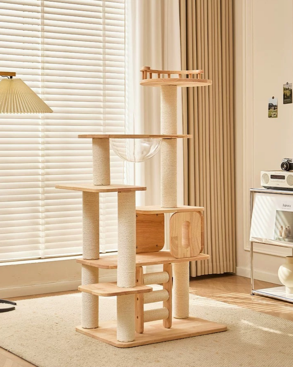 image_CD93FD37-D258-452E-AB69-B4F8D9B76A40_1767954194