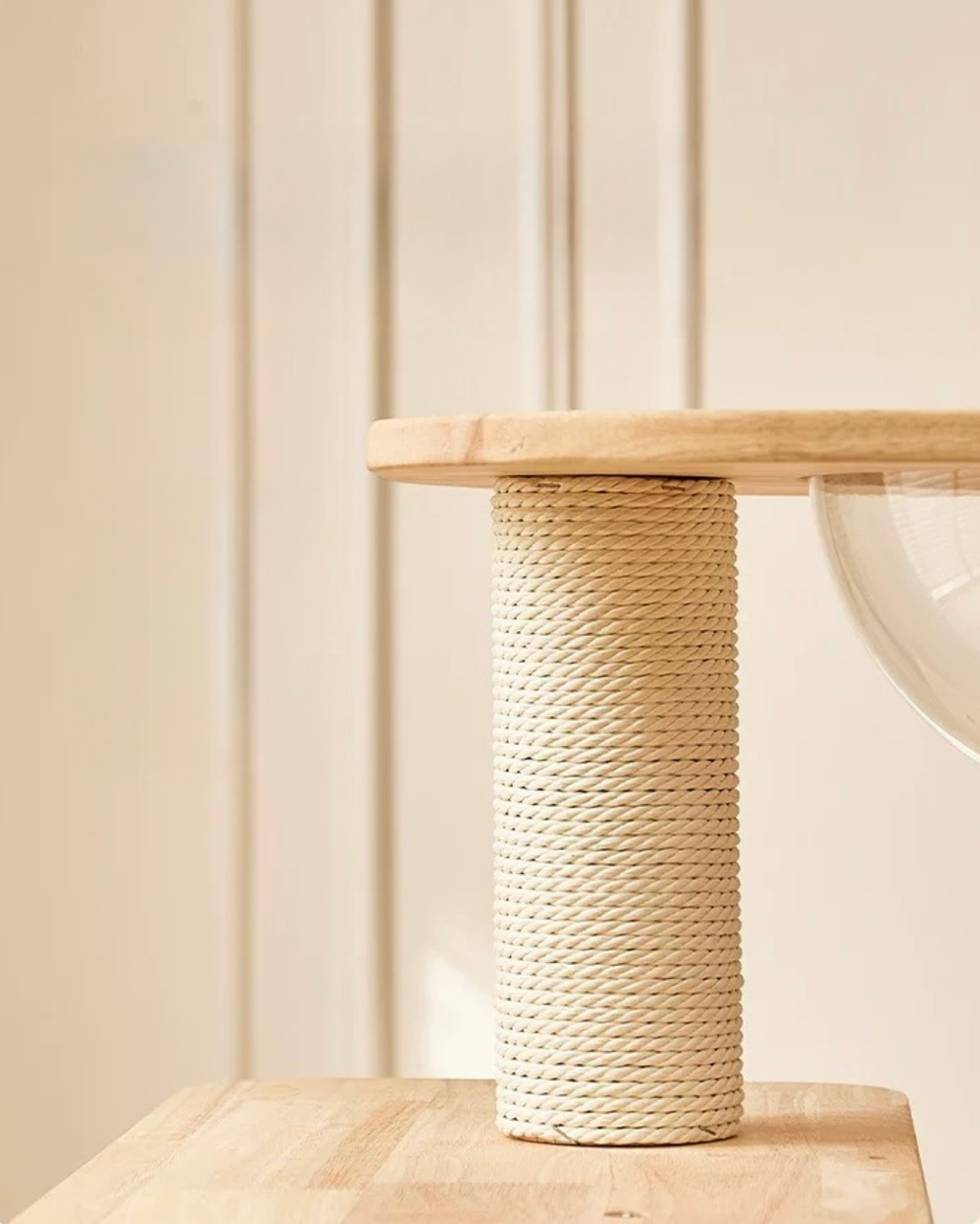 image_8C9D0C53-09AB-4ADF-9C97-30BEDC1FD7DD_1767954194