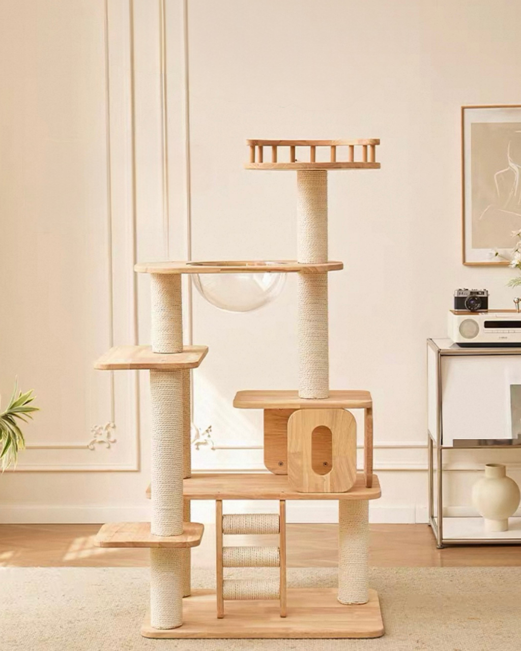 image_5F4B71EA-5986-4675-B087-8998C94F4821_1767954194