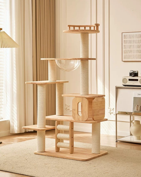 image_F1A2C02D-9BF0-48B7-BEA4-8B510ED229A8_1767954194