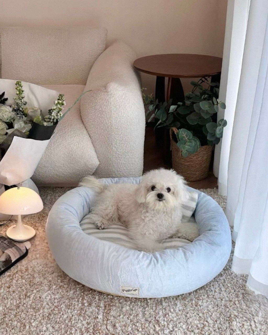 image_909328B1-828F-4541-A558-66E26C0597BD_1767957092