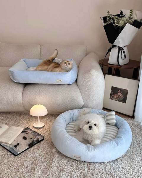 image_287E175D-FCE0-4269-ACC9-64B75D64401F_1767957092