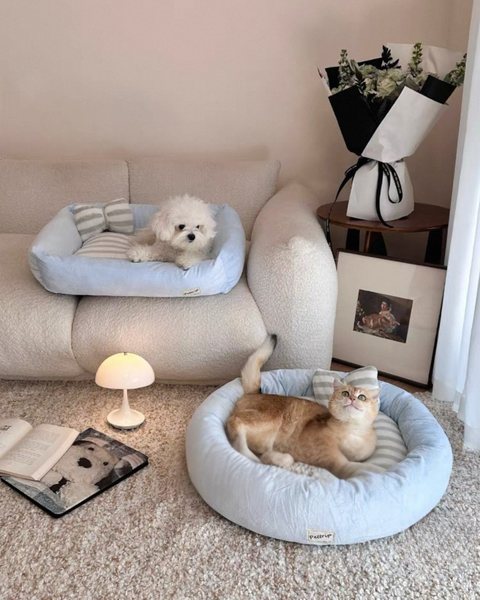 image_54D09059-EB3D-4FB0-A80C-EFABA86D6F3C_1767957092