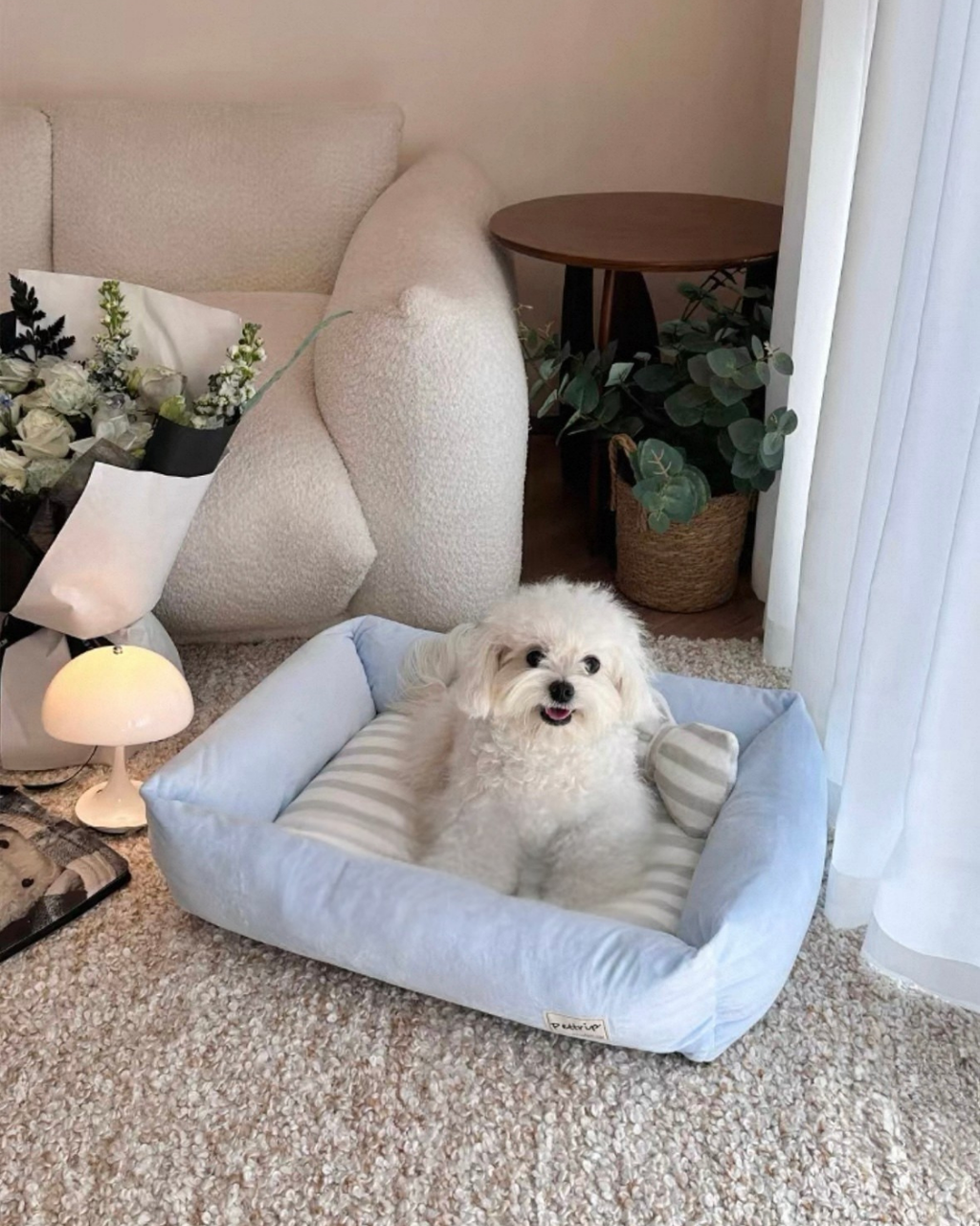 image_7791C5E1-9F6D-4A88-B5A5-73DDF10921C7_1767957092