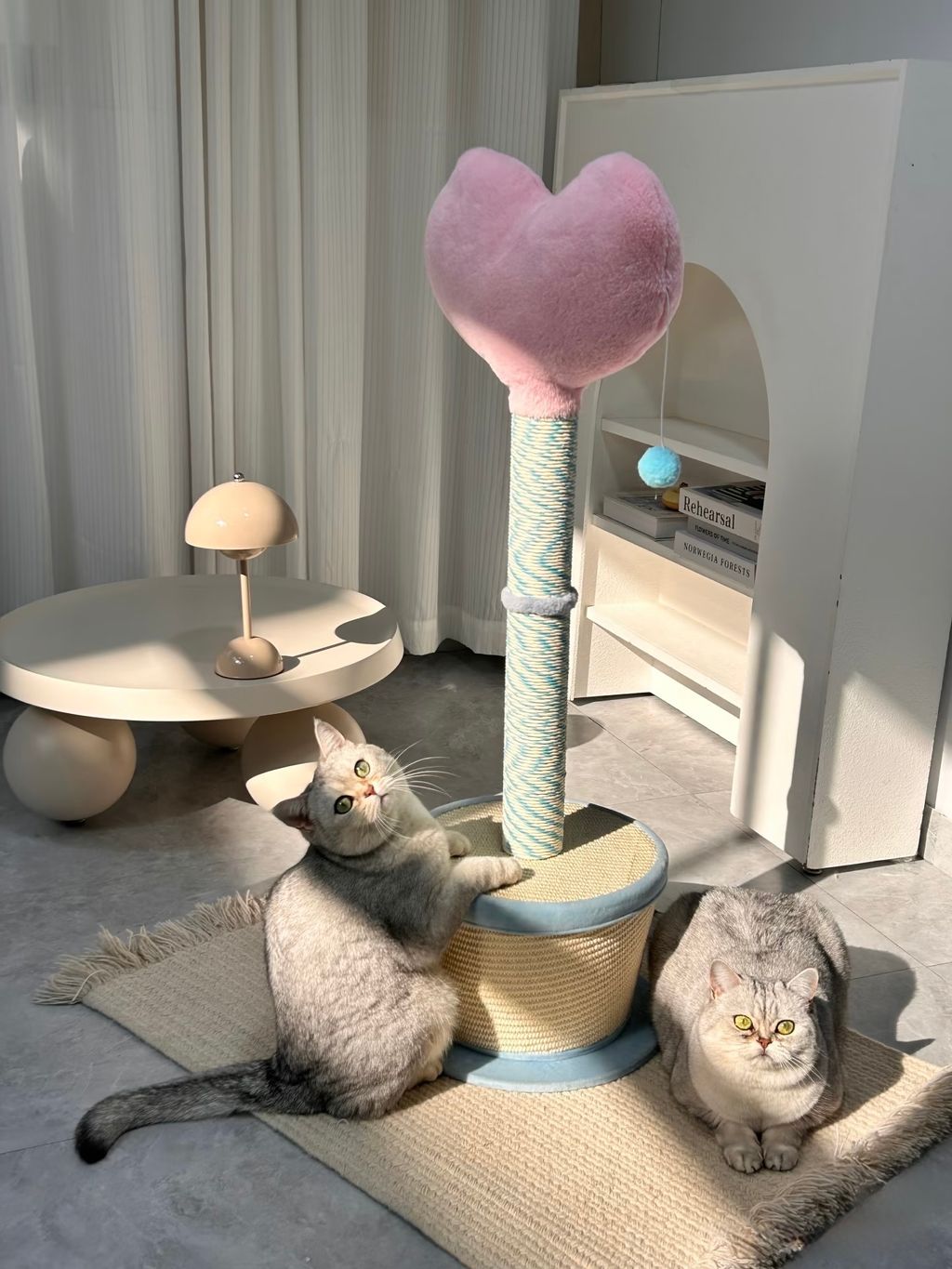 image_7CFCD872-D389-4B90-8B6B-2D150481706E_1770032801