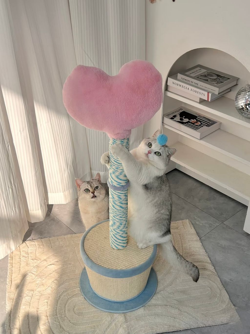 image_1753F724-BFBC-4F4F-92A3-B9D23ECBC9C3_1770032801