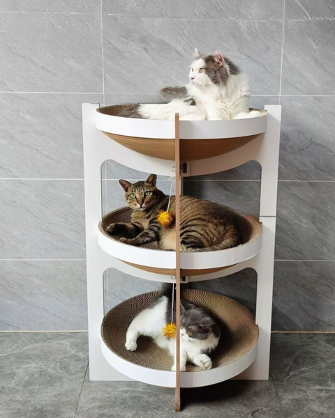 image_145F2BE3-0B28-43ED-B353-50D24E0C2388_1770376707