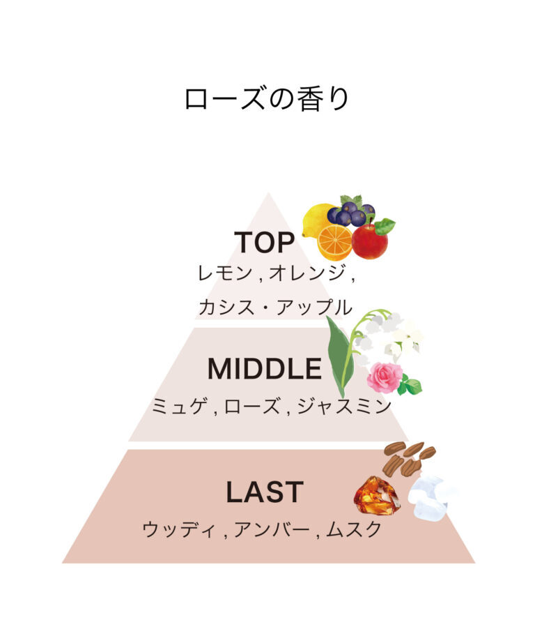 ピラミッド_ローズ-768x922