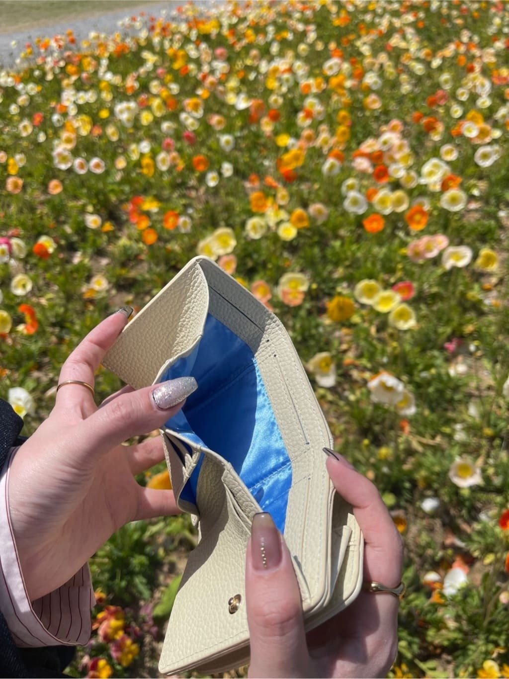 82dfdd731fc85a9b9860a497b8d45808