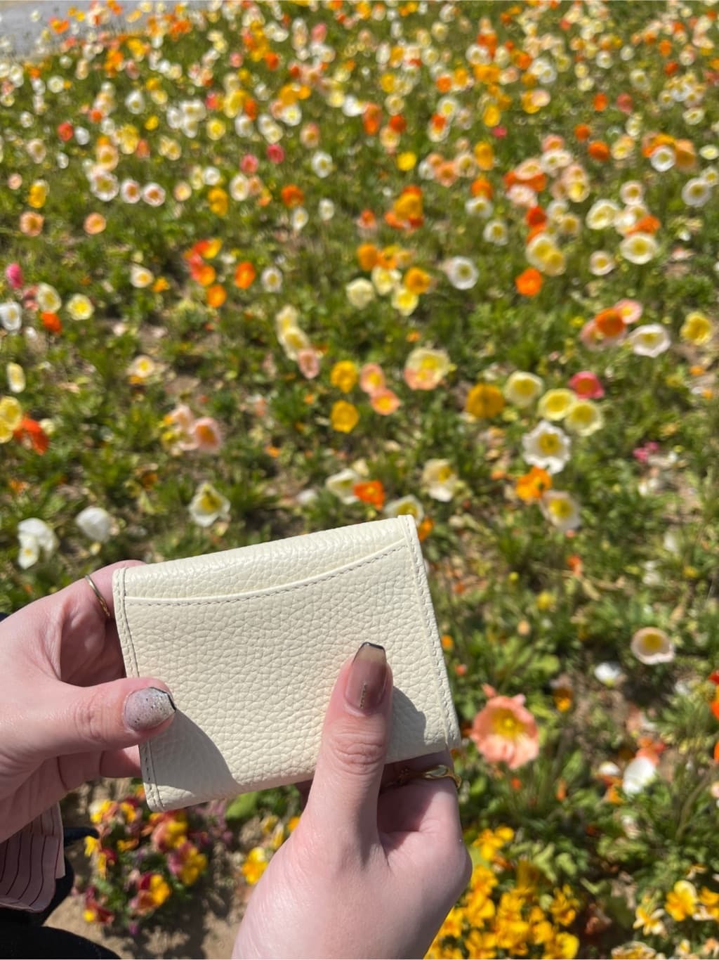 101762355528ea77a32c97423203d27e