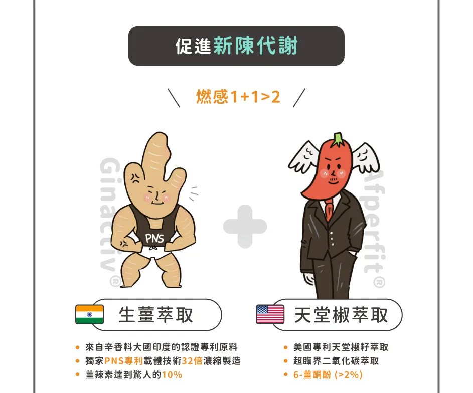 [inneRaise] 素燃錠銷售頁_4