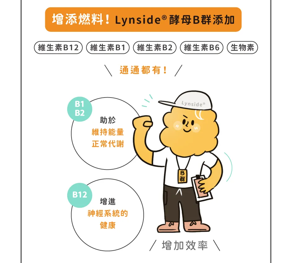 [inneRaise] 素燃錠銷售頁_5