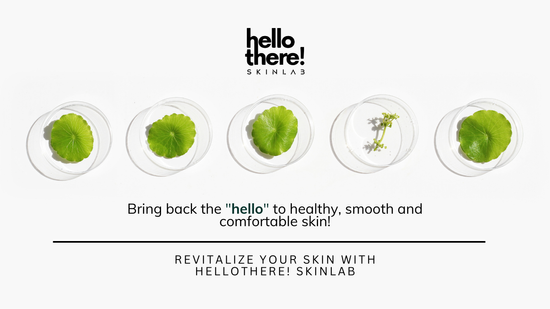  | Hellothere Skinlab
