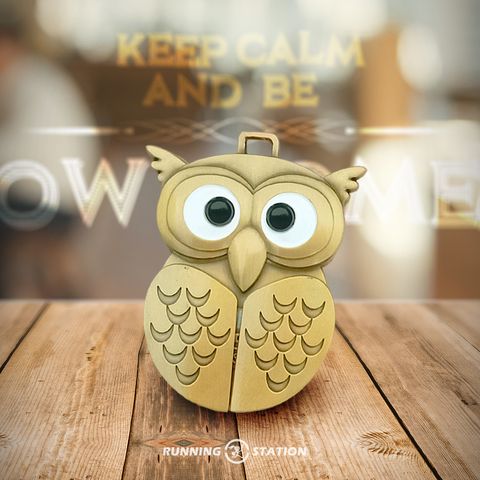 Owlsome 1