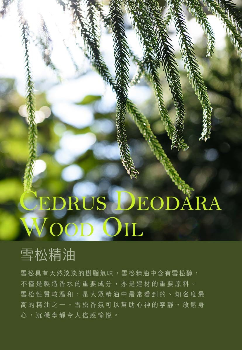 content_ce06d9cb-30dd-4515-a086-a4fc3ba097b6