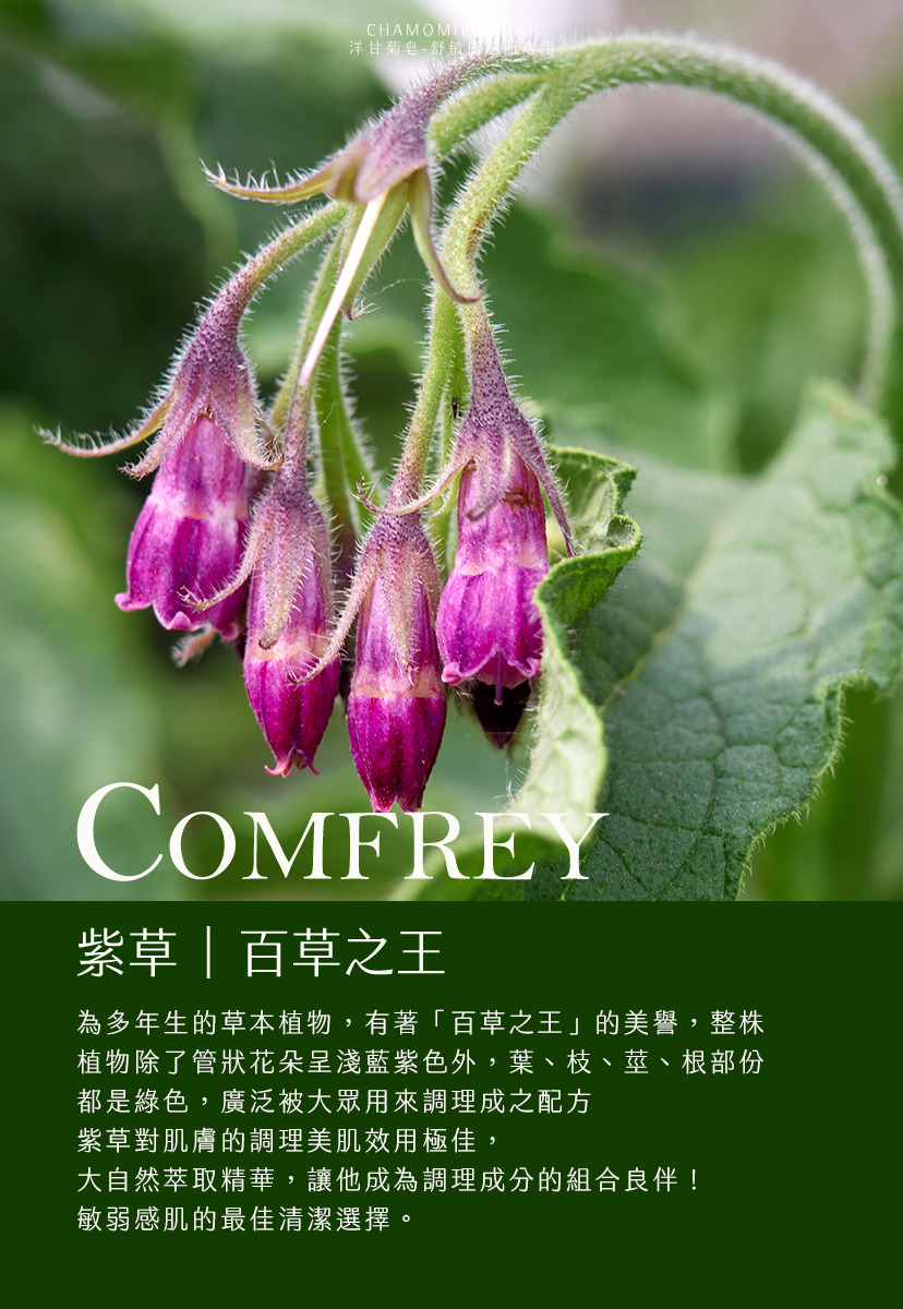 content_fd17fef7-d48c-407d-a5a0-c4e3400ecbe3