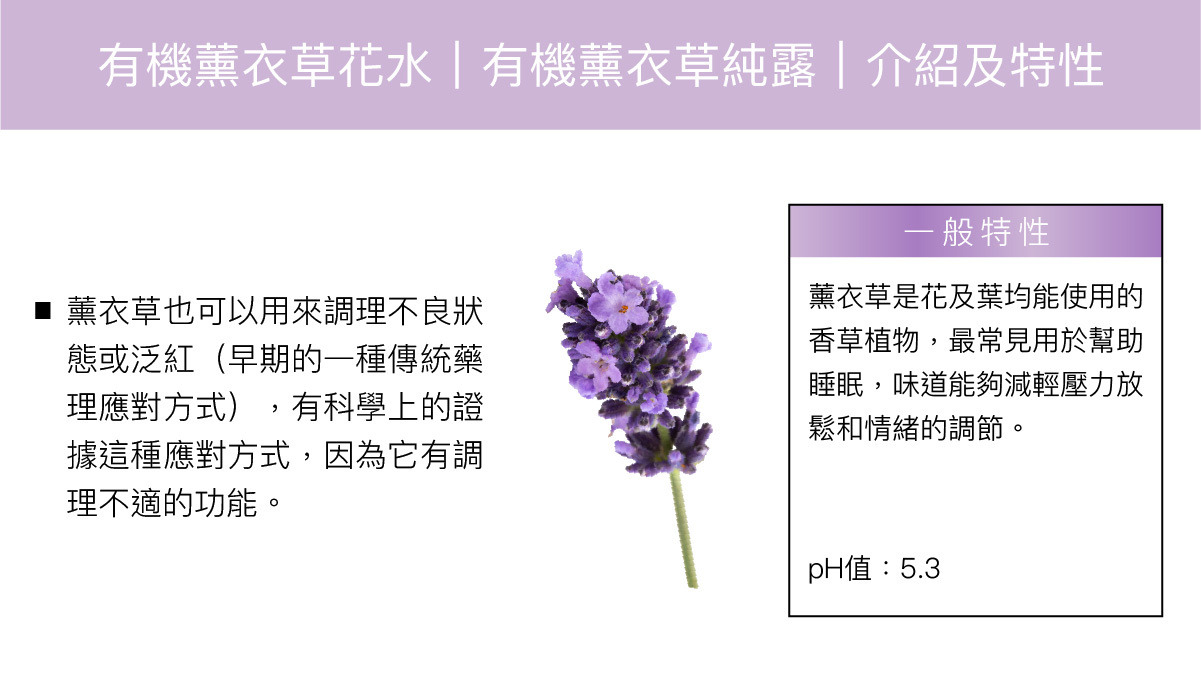 content_19bfc252-51b1-41a7-a10a-50fa3befcc4b