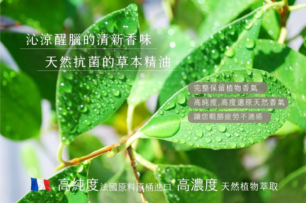 content_202c1531-0d52-4bfc-b95f-c9208cc33325
