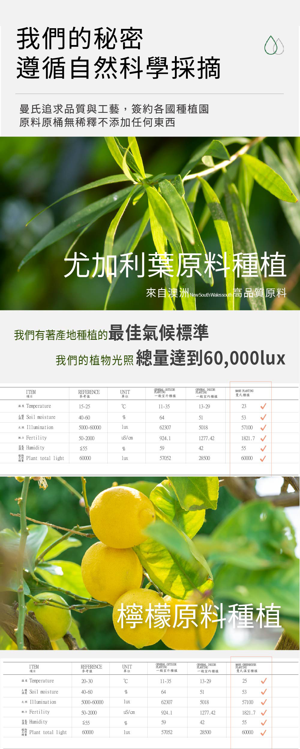 content_c6048b48-8442-4f95-a694-b63c785044be