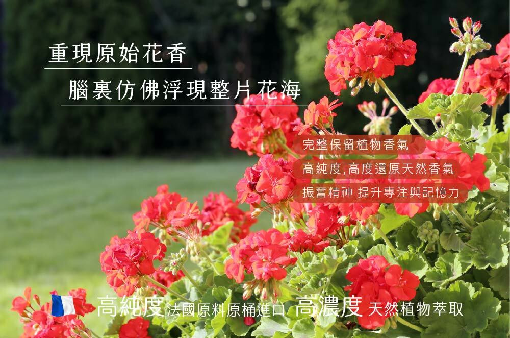 content_e20c722a-38a5-4722-8479-f120af12bd41