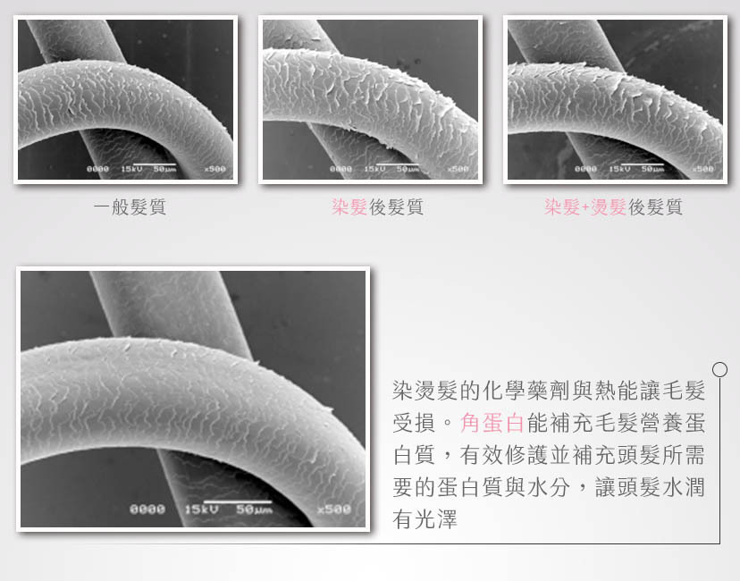 content_10522cc6-7c04-45da-9c81-e44c52a95f2f