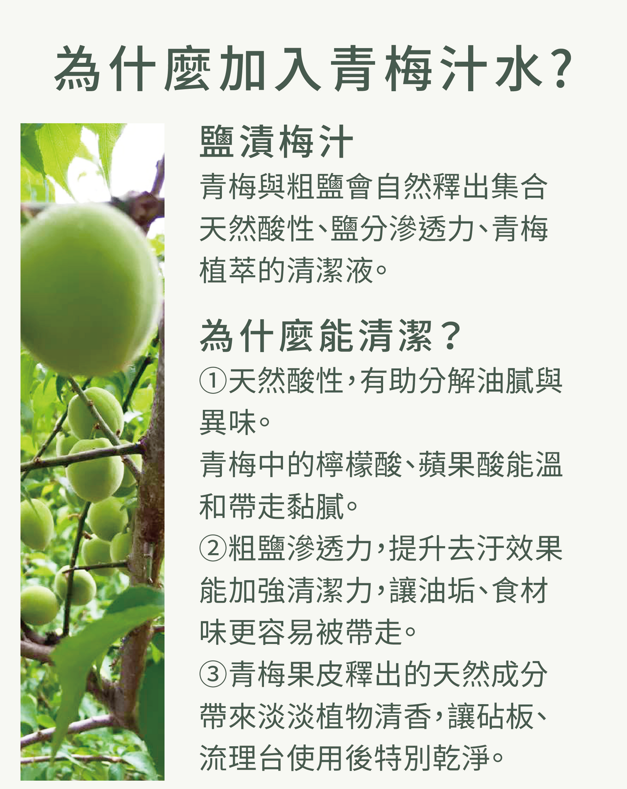 content_7fe28229-af63-471e-881c-c82d65b35cca