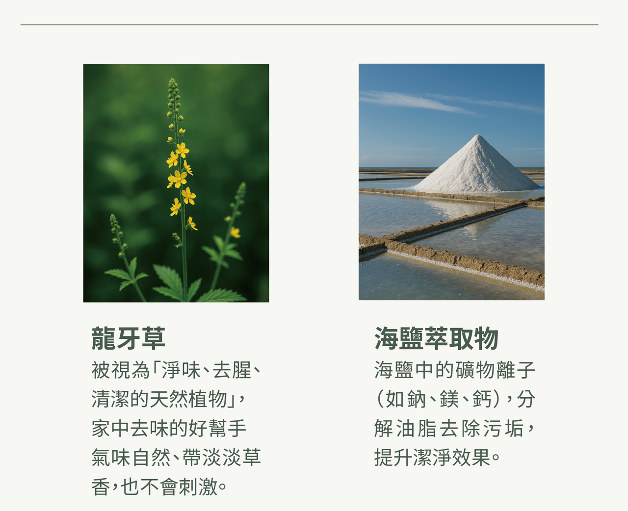 content_e66da9d3-98cf-43cb-8600-f76a91e1e3ff